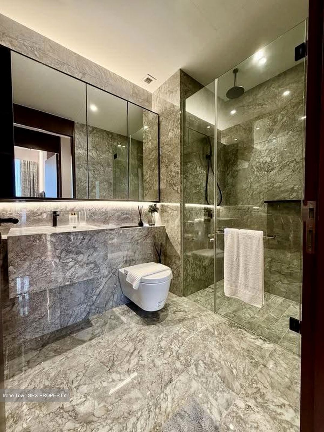 Jervois Privé (D10), Apartment #635041881